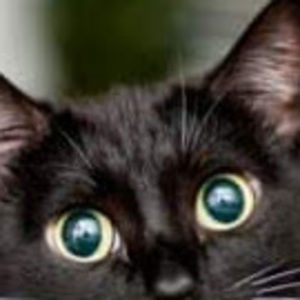 Meet your Posher, Layka